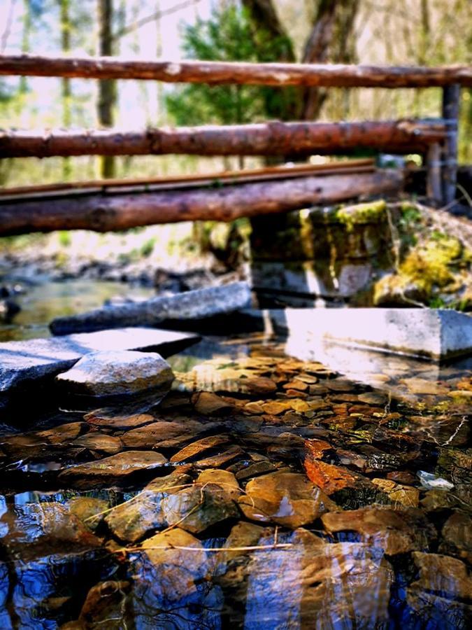 Auszeit Am See Winterberg Bagian luar foto